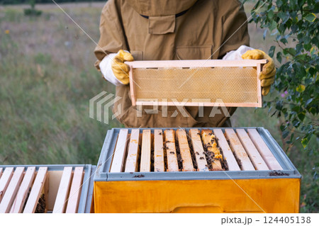 A beekeeper, a woman in a protective suit against bee stings, holds a frame with honey from a bee hive in her hands. Beekeeping, care of the hive A beekeeper, a woman in a protective suit against bee stings, holds a frame with honey from a bee hive in her hands. Beekeeping, care of the hive 124405138