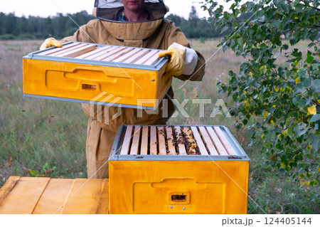 A beekeeper, a woman in a protective suit against bee stings, holds a frame with honey from a bee hive in her hands. Beekeeping, care of the hive 124405144