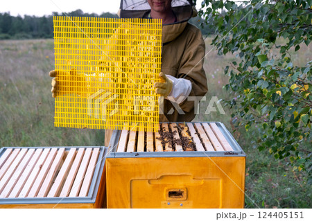 A beekeeper, a woman in a protective suit against bee stings, installs a separation grate in the hive. Beekeeping, care of the hive A beekeeper, a woman in a protective suit against bee stings, installs a separation grate in the hive. Beekeeping, care of the hive 124405151