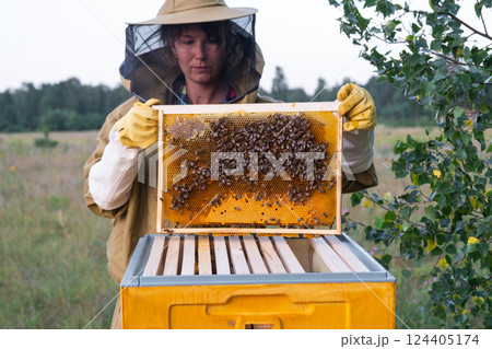 A beekeeper, a woman in a protective suit against bee stings, holds a frame with honey from a bee hive in her hands. Beekeeping, care of the hive A beekeeper, a woman in a protective suit against bee stings, holds a frame with honey from a bee hive in her hands. Beekeeping, care of the hive 124405174