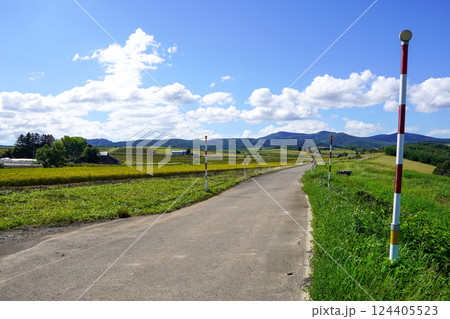 芦別市新城町の仙台山あたりの農道 124405523