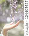 藤の花を感じて 124405627