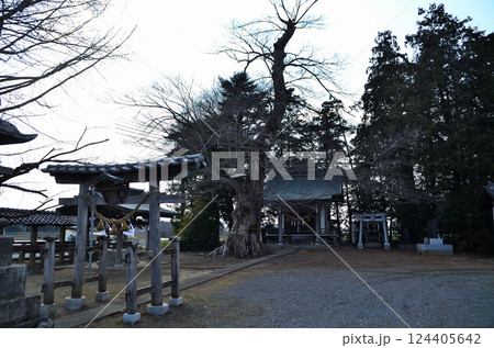 埼玉県深谷市岡の当後白鬚神社 124405642
