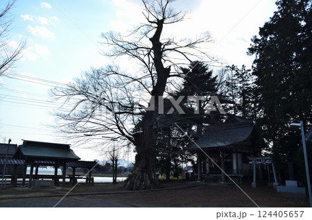 埼玉県深谷市岡の当後白鬚神社 124405657