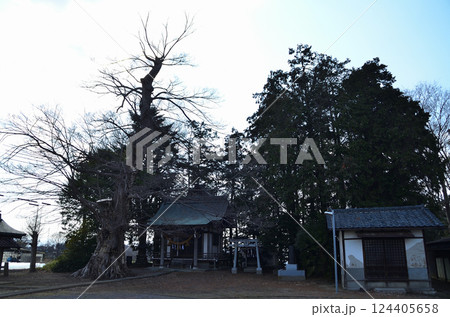 埼玉県深谷市岡の当後白鬚神社 124405658