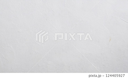 白い紙紙テクスチャ 124405927