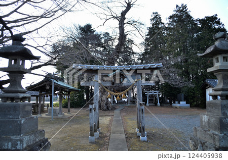 埼玉県深谷市岡の当後白鬚神社 埼玉県深谷市岡の当後白鬚神社 124405938