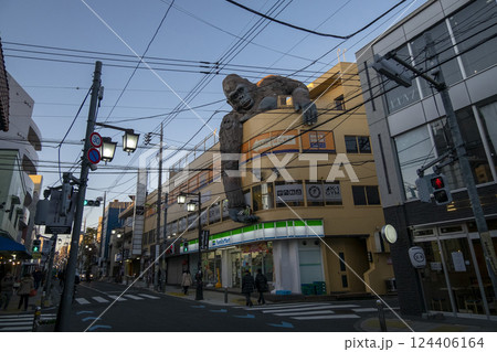 三軒茶屋の名物【ゴリラビル】の夕景外観 (東京都世田谷区) 三軒茶屋の名物【ゴリラビル】の夕景外観 (東京都世田谷区) 124406164