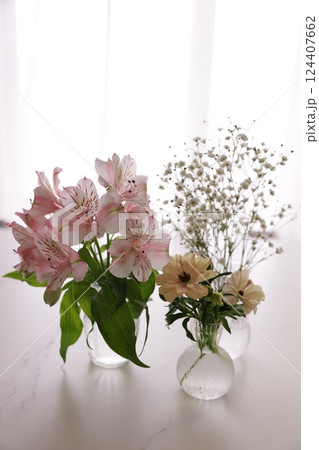 アストロメリア アストロメリア 124407662