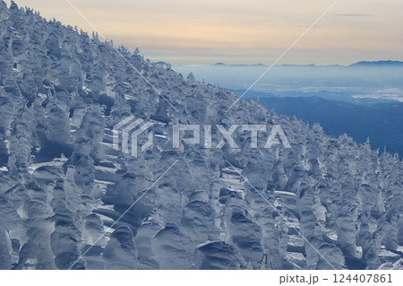 冬の絶景、蔵王の樹氷原。山形、日本。1月下旬。 124407861