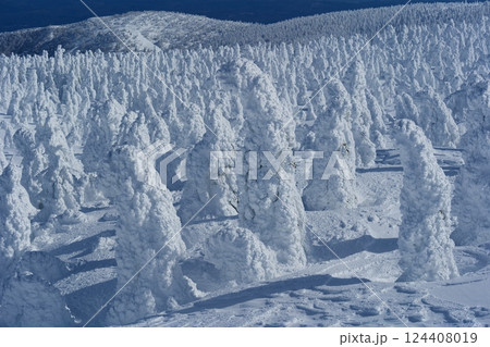 冬の絶景、蔵王の樹氷原。山形、日本。1月下旬。 冬の絶景、蔵王の樹氷原。山形、日本。1月下旬。 124408019