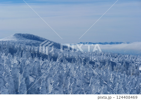 冬の絶景、蔵王の樹氷原。山形、日本。1月下旬。 124408469