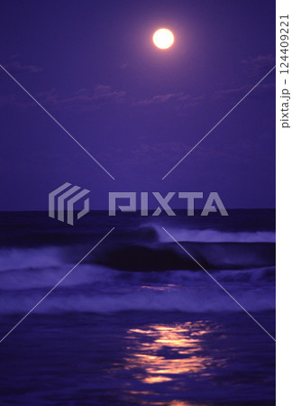 月光の照らす海と波 124409221