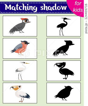 Brainteaser for kids.  Educational cards. Zoo animals. Woodpecker, bullfinch, heron and pelican. Find the correct shadow. Activity for preschoolers and toddlers. 124409716