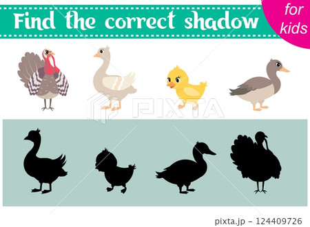 Brainteaser for kids. Farm animals. Turkey, goose, duck and duckling.  Find the correct shadow. Educational cards. Activity for preschoolers and toddlers. 124409726