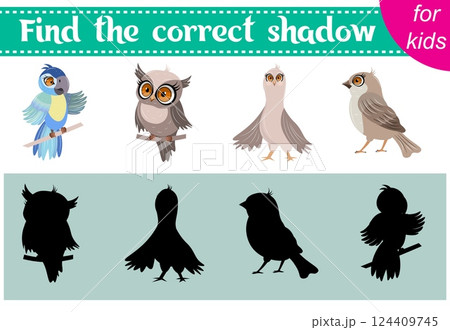 Brainteaser for kids.  Zoo animals. Parrot, owl, dove and sparrow. Find the correct shadow. Educational cards. Activity for preschoolers and toddlers. 124409745