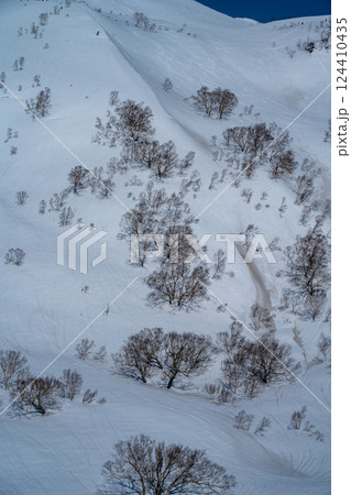 栂池高原の雪山 124410435
