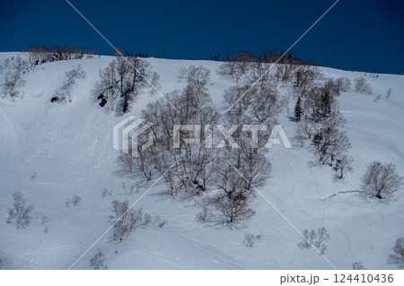 栂池高原の雪山 124410436