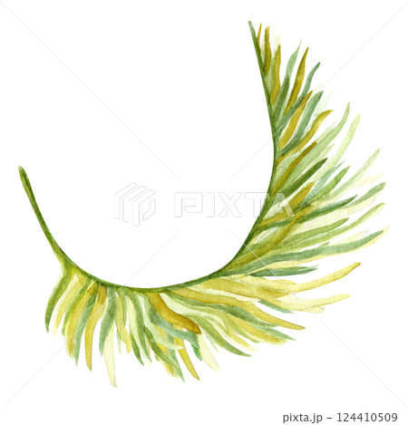 Palm leaf hand painted watercolor illustration isolated on white. High quality image perfect for cards, posters, patterns, stickers, Christmas decoration design. Exotic plants green and yellow clip 124410509