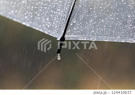雨傘についた雨のしずく 124410637