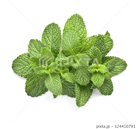 Fresh mint 124410791