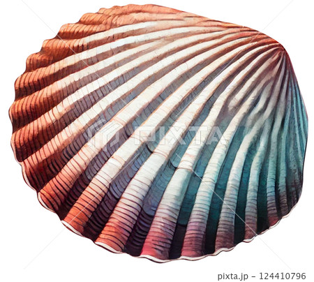 seashell in a paper cut 124410796