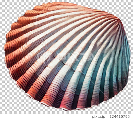 seashell in a paper cut 124410796