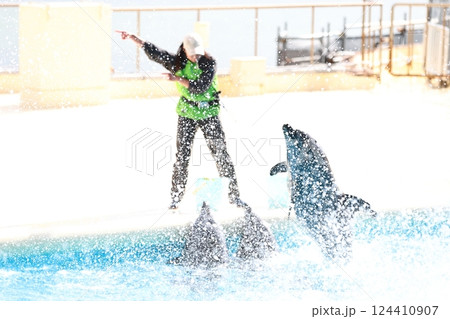 イルカ マリンワールド海ノ中道 イルカ マリンワールド海ノ中道 124410907