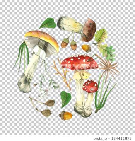 Round composition on a forest theme, mushrooms, acorns, oak leaves, flowers and wild berries. All objects are hand-painted with watercolors. Suitable for printing on postcards, decor and design. Round composition on a forest theme, mushrooms, acorns, oak leaves, flowers and wild berries. All objects are hand-painted with watercolors. Suitable for printing on postcards, decor and design. 124411975