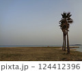 海とヤシの木と穏やかな海 124412396