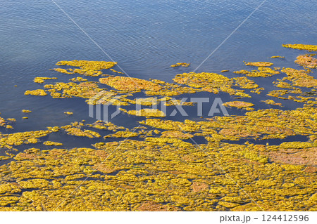 Landscape view of Parque Natural da Ria Formosa near Faro, Portugal 124412596