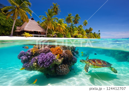 Tropical beach and coral reef fish underwater 124412707