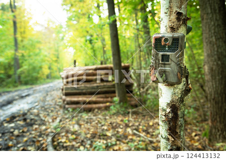 A camera trap guarding wood in the forest 124413132