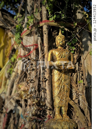 Standing Buddha at Golden-colored temple near Bangkok 124413952