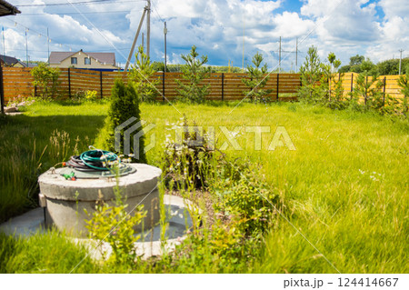 Backyard garden with pine trees and bushes near wooden fence. Private outdoor greenery and home landscaping in suburban environment. Backyard garden with pine trees and bushes near wooden fence. Private outdoor greenery and home landscaping in suburban environment. 124414667