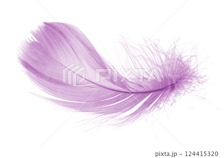 Light fluffy pink feather isolated on white background. 124415320