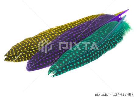 Colorful collection feathers isolated on white background Colorful collection feathers isolated on white background 124415497