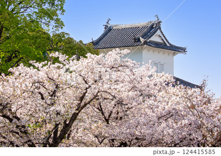 大分府内城址と桜 大分府内城址と桜 124415585