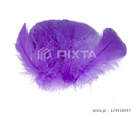 Elegant violet fluffy feather isolated on the white background Elegant violet fluffy feather isolated on the white background 124416047