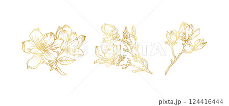 Luxury gold magnolia flowers background. Floral pattern tropical in line art style for greeting, invitation, wedding card, wall art, wallpaper and print. Vector illustration 124416444