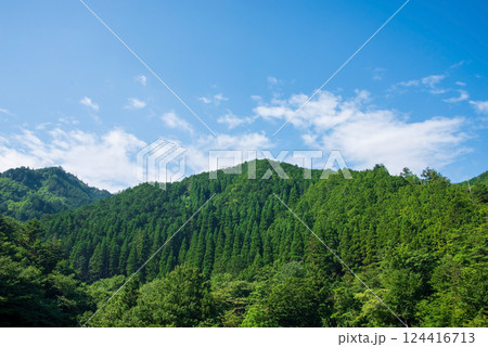 美しい夏山の緑と青い空【夏イメージ・背景素材】 124416713
