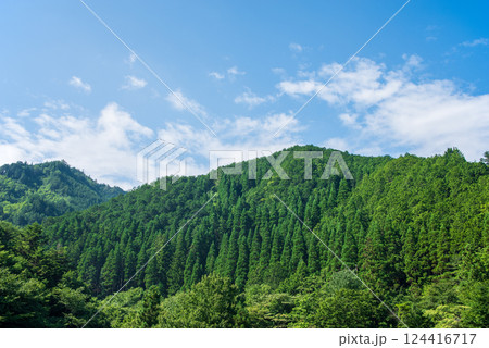 美しい夏山の緑と青い空【夏イメージ・背景素材】 124416717