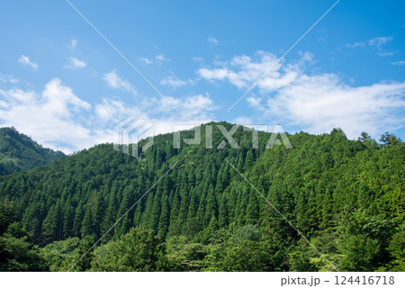 美しい夏山の緑と青い空【夏イメージ・背景素材】 美しい夏山の緑と青い空【夏イメージ・背景素材】 124416718