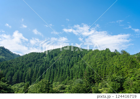 美しい夏山の緑と青い空【夏イメージ・背景素材】 124416719