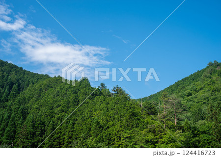 美しい夏山の緑と青い空【夏イメージ・背景素材】 美しい夏山の緑と青い空【夏イメージ・背景素材】 124416723