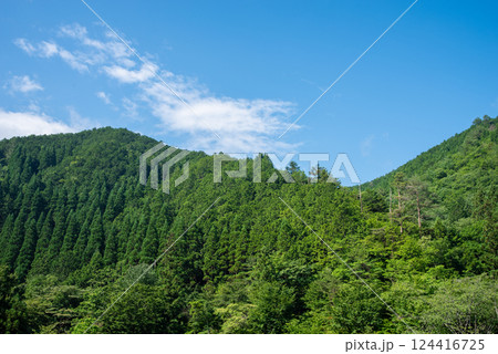 美しい夏山の緑と青い空【夏イメージ・背景素材】 124416725