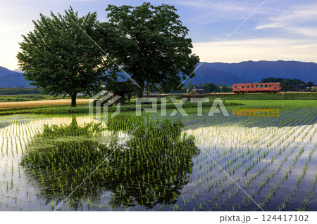 高速道路が建設される前の越前田野を走る越美北線の気動車 124417102