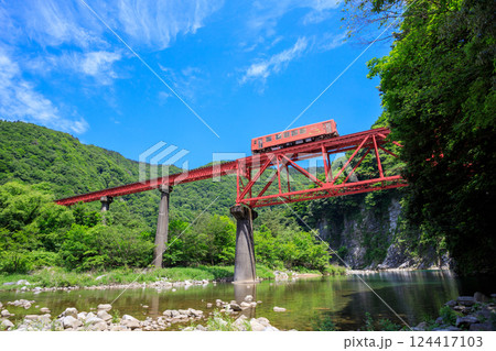 第2九頭竜川橋梁を渡る越美北線のオレンジ色の単行気動車を河原から見上げる 124417103