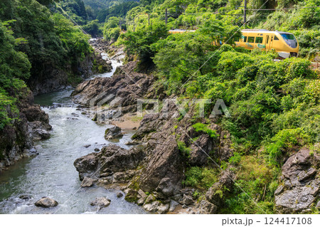 川代渓谷を福知山線の黄色い特急列車が駆け抜ける 川代渓谷を福知山線の黄色い特急列車が駆け抜ける 124417108
