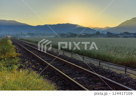 越前田野の蕎麦畑と越美北線に荒島岳からの朝日が刺す瞬間 124417109